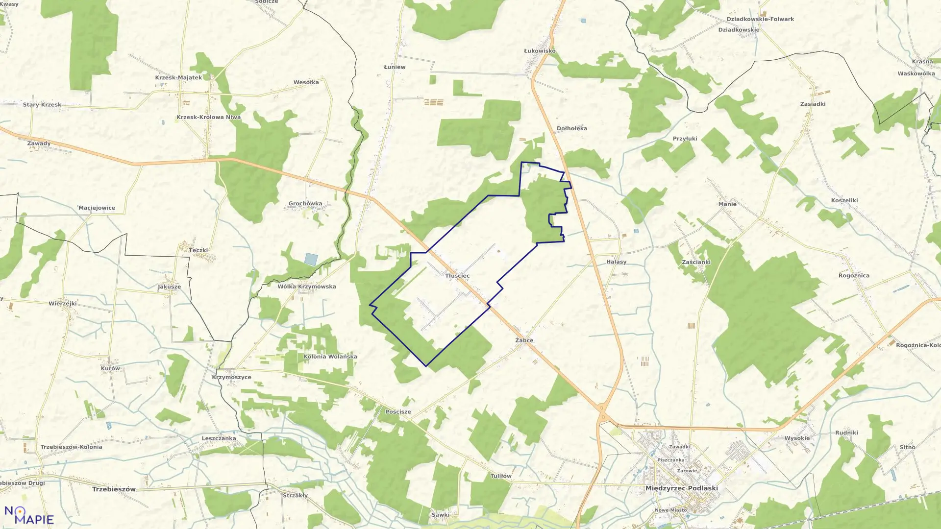 Mapa obrębu TŁUŚCIEC w gminie Międzyrzec Podlaski